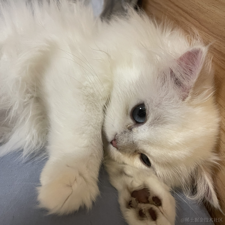 3U小吴于2022-02-23 23:34发布的图片