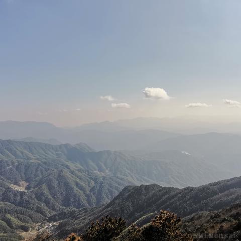 舞阳侯于2021-02-15 15:02发布的图片