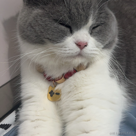 单纯_稀饭于2024-06-10 09:38发布的图片