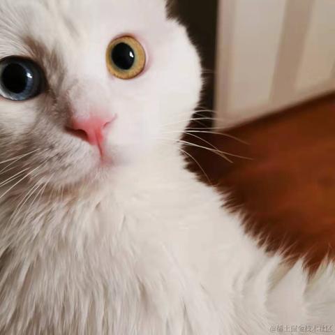 路有冻死狗于2021-10-27 19:03发布的图片