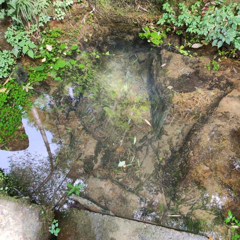 可乐真好吃于2021-07-27 08:51发布的图片