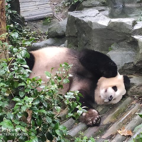 吾在等风也等你于2022-10-07 16:25发布的图片