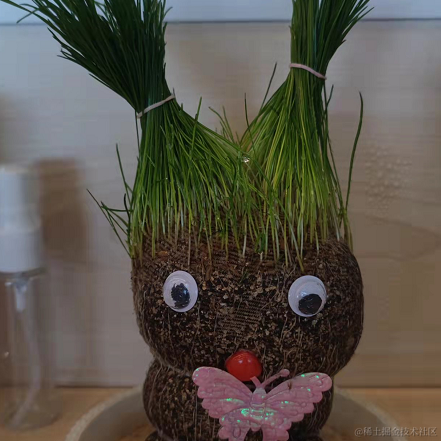 改个名字就没人认识我了于2021-11-09 15:03发布的图片