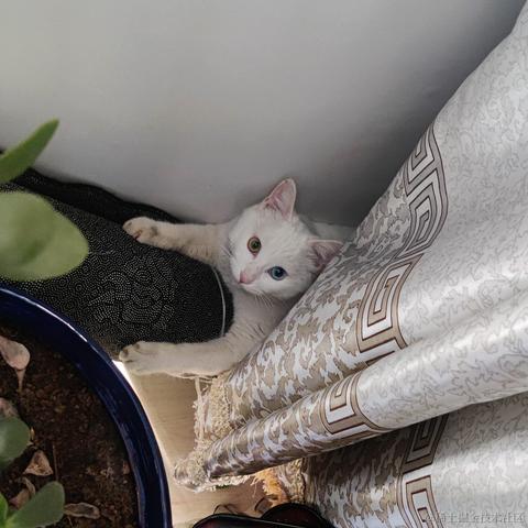 用户7210340961494于2023-01-24 21:46发布的图片