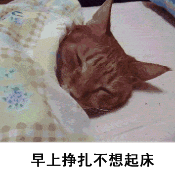 小时候不要丢下我于2023-07-05 20:47发布的图片