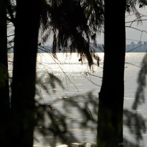 mayyyyyyyy于2022-11-15 16:03发布的图片