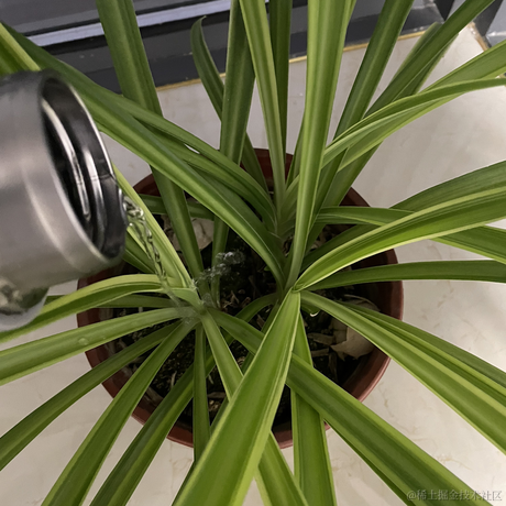 贝拉拉贝拉kira于2022-11-15 17:26发布的图片