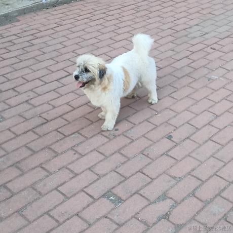 icetm_jim于2023-06-17 21:53发布的图片