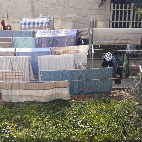 贝極星于2022-11-10 11:11发布的图片