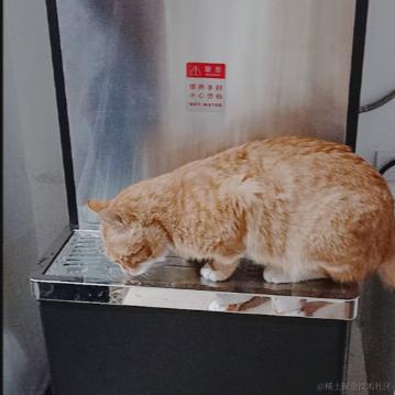 猫佛佛于2024-03-06 08:01发布的图片