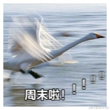 抖音开放平台于2022-12-09 16:01发布的图片