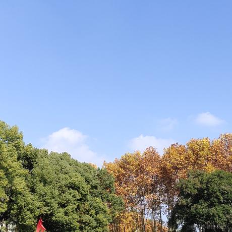 洛南宁于2022-12-24 11:29发布的图片