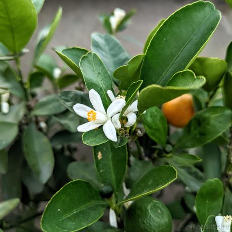 estar于2022-11-20 17:52发布的图片