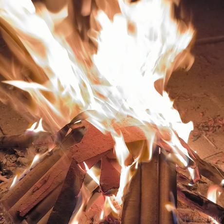 骑猪打酱油于2023-01-22 00:31发布的图片