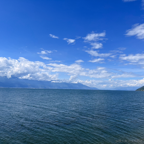 紫米烧饵块于2023-10-02 21:22发布的图片