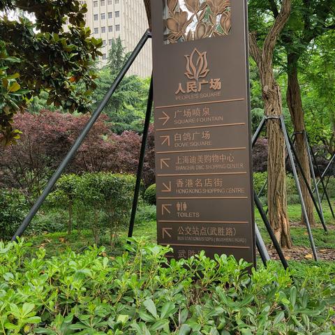 江无花于2021-05-30 20:18发布的图片