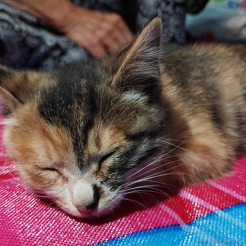 薄岁于2023-06-24 10:30发布的图片