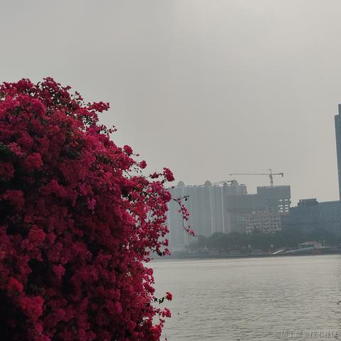 JIA593于2023-03-19 08:54发布的图片