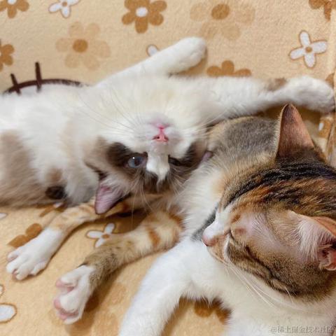 手捧星星于2022-08-24 11:28发布的图片