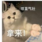 余米于2024-02-04 13:11发布的图片