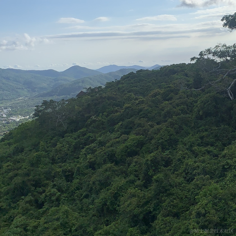 Fizz11于2021-07-17 09:28发布的图片