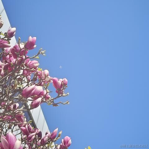 violetBlue于2023-03-28 07:58发布的图片