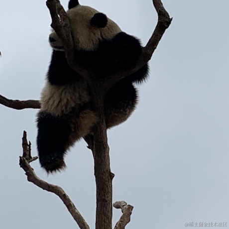 已注销于2021-04-24 16:03发布的图片