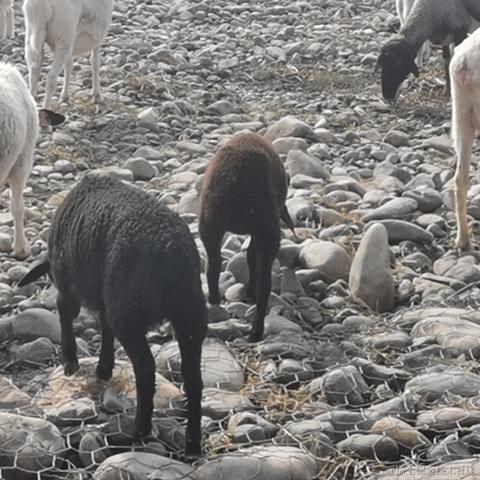 嘉然13136于2022-11-26 21:33发布的图片