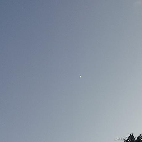 Ava大水母于2023-07-22 19:13发布的图片