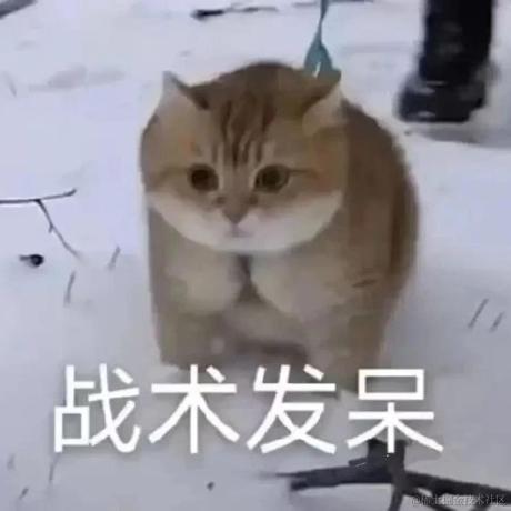 今天宜喝冰阔落于2023-02-15 09:56发布的图片