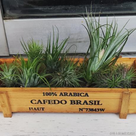 一个魂儿呀于2023-07-06 00:12发布的图片