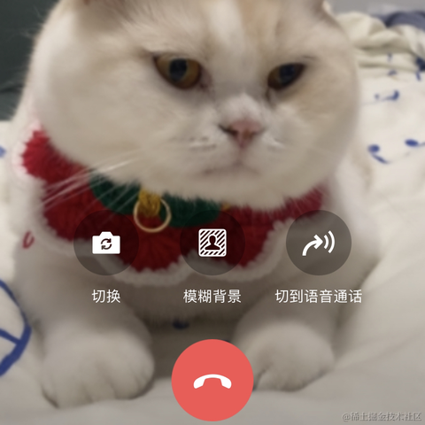 点点是只猫于2022-11-11 23:31发布的图片