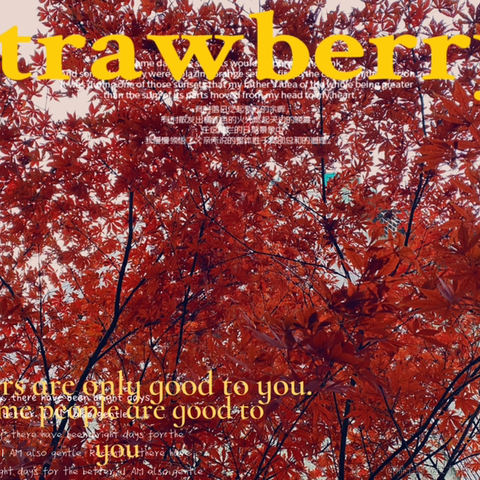 宁在春于2022-12-11 20:54发布的图片