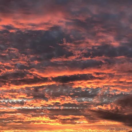 风吹雪舞于2023-04-16 19:39发布的图片