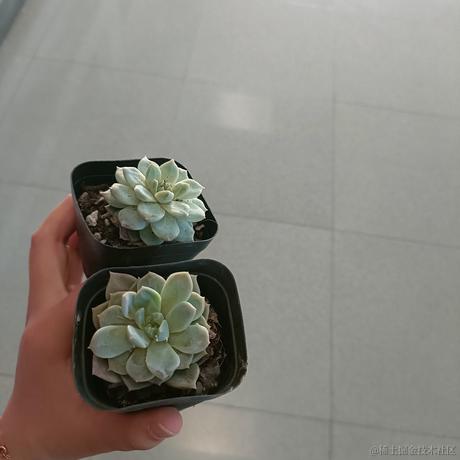 苓翎囹于2023-05-07 21:07发布的图片