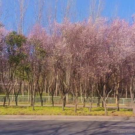lanlan_于2023-03-31 05:39发布的图片