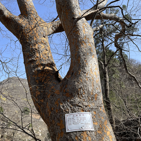 codeniu于2023-03-14 08:32发布的图片