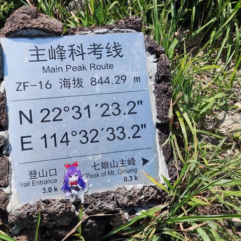 脆弱杨桃干于2022-11-28 23:53发布的图片