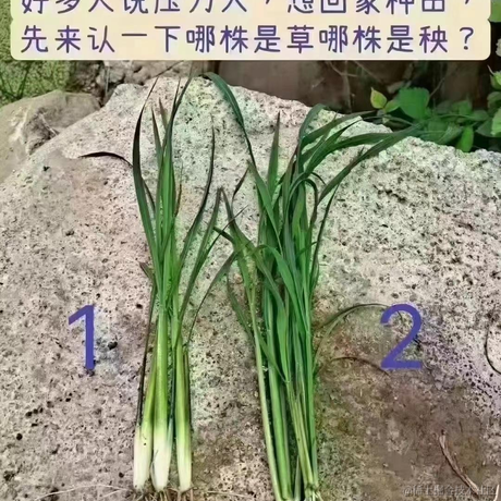 愈彬于2022-07-15 20:23发布的图片