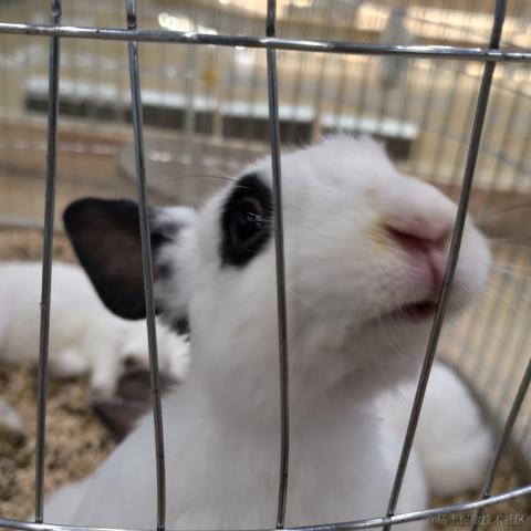 HZ388于2023-04-13 01:24发布的图片