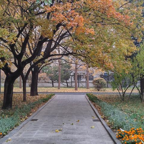 晚晚玩碗碗于2022-11-11 08:38发布的图片