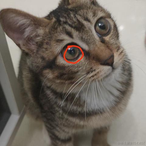 科目三后吃饭于2020-10-30 00:17发布的图片