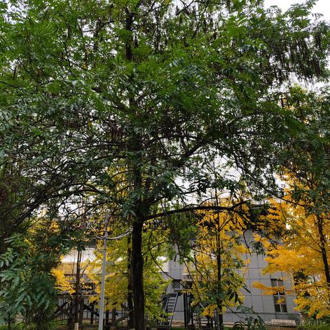 netfix于2022-11-27 10:44发布的图片