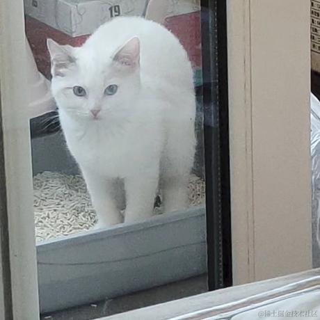 旺仔米苏于2023-06-07 14:53发布的图片