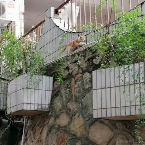 Queeeee于2022-11-26 12:25发布的图片