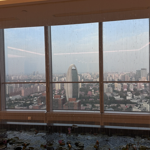 Cece于2023-08-21 17:59发布的图片