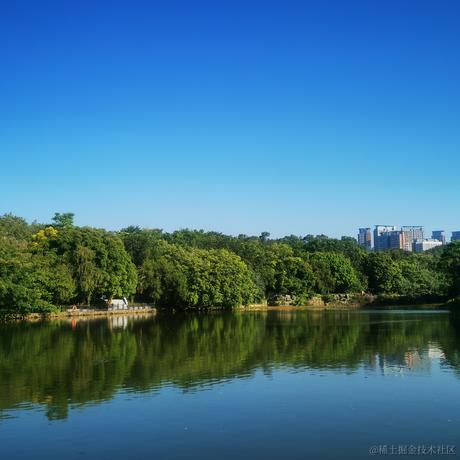 天行无忌于2021-11-24 20:02发布的图片