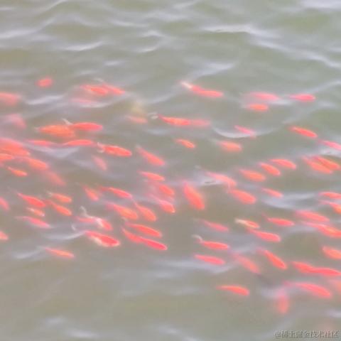 涛涛之海于2023-03-14 13:25发布的图片