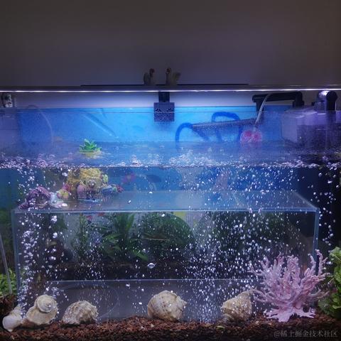 人性本恶于2023-11-27 08:56发布的图片