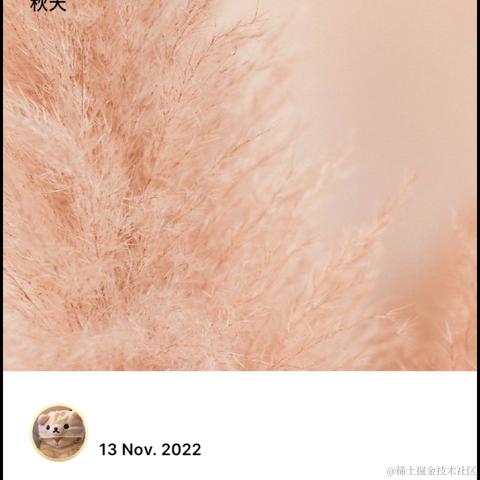 Rainbow_Sea于2022-11-13 22:00发布的图片